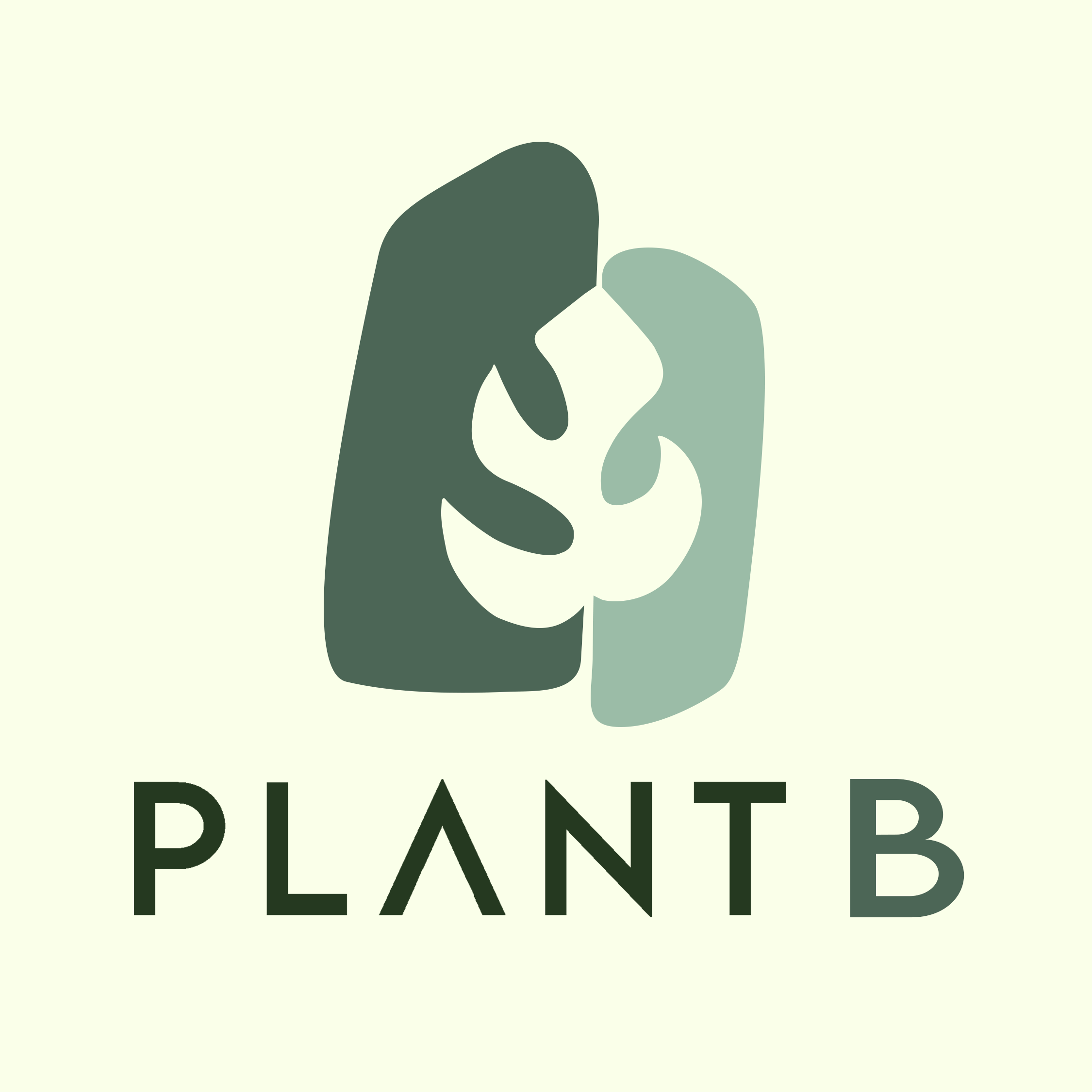 vivero plantas tropicales y exóticas de interior